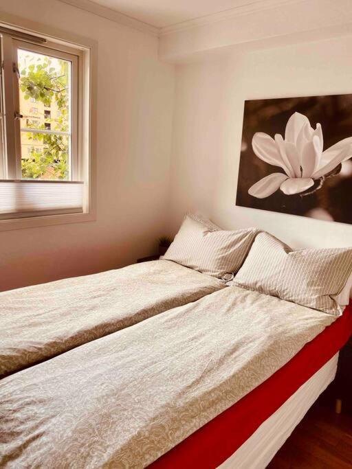 Bakklandets Perle 3-Roms Apartment ทรอนด์เฮม ภายนอก รูปภาพ